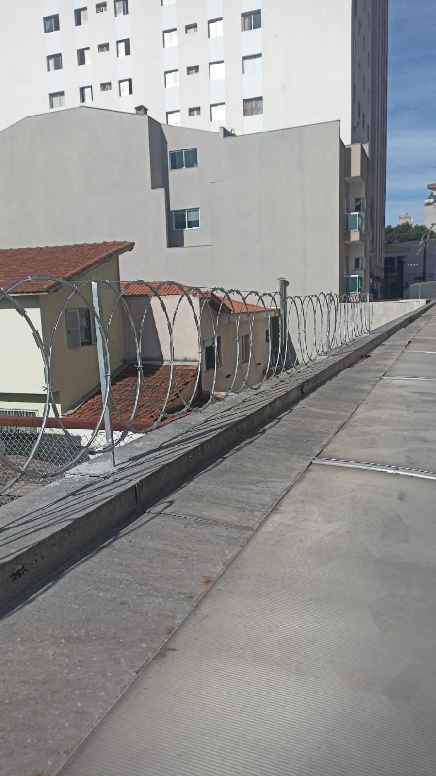 imagem_2024-06-23_144714762