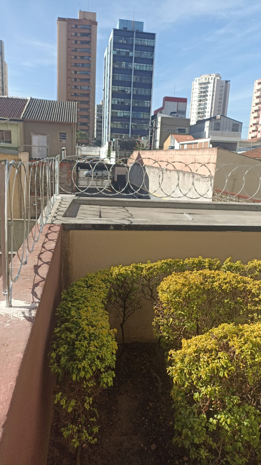 imagem_2024-06-23_144801987